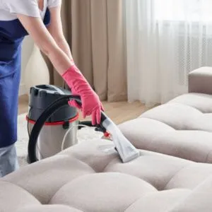 Professional Sofa Cleaning Services