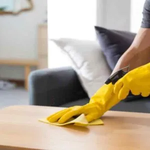 Professional House Cleaning Services