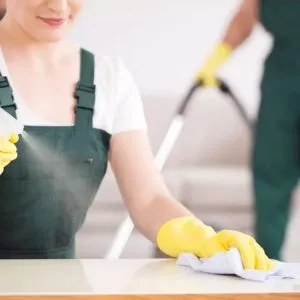 Professional House Cleaning Services