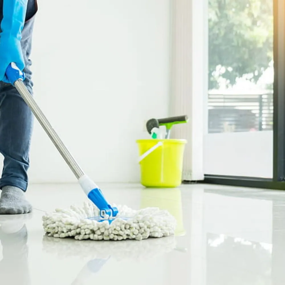 Professional House Cleaning Services