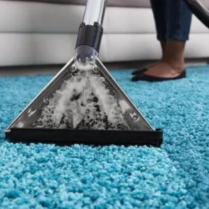 Domestic Carpet Cleaning Services 