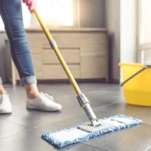 Professional House Cleaning Services