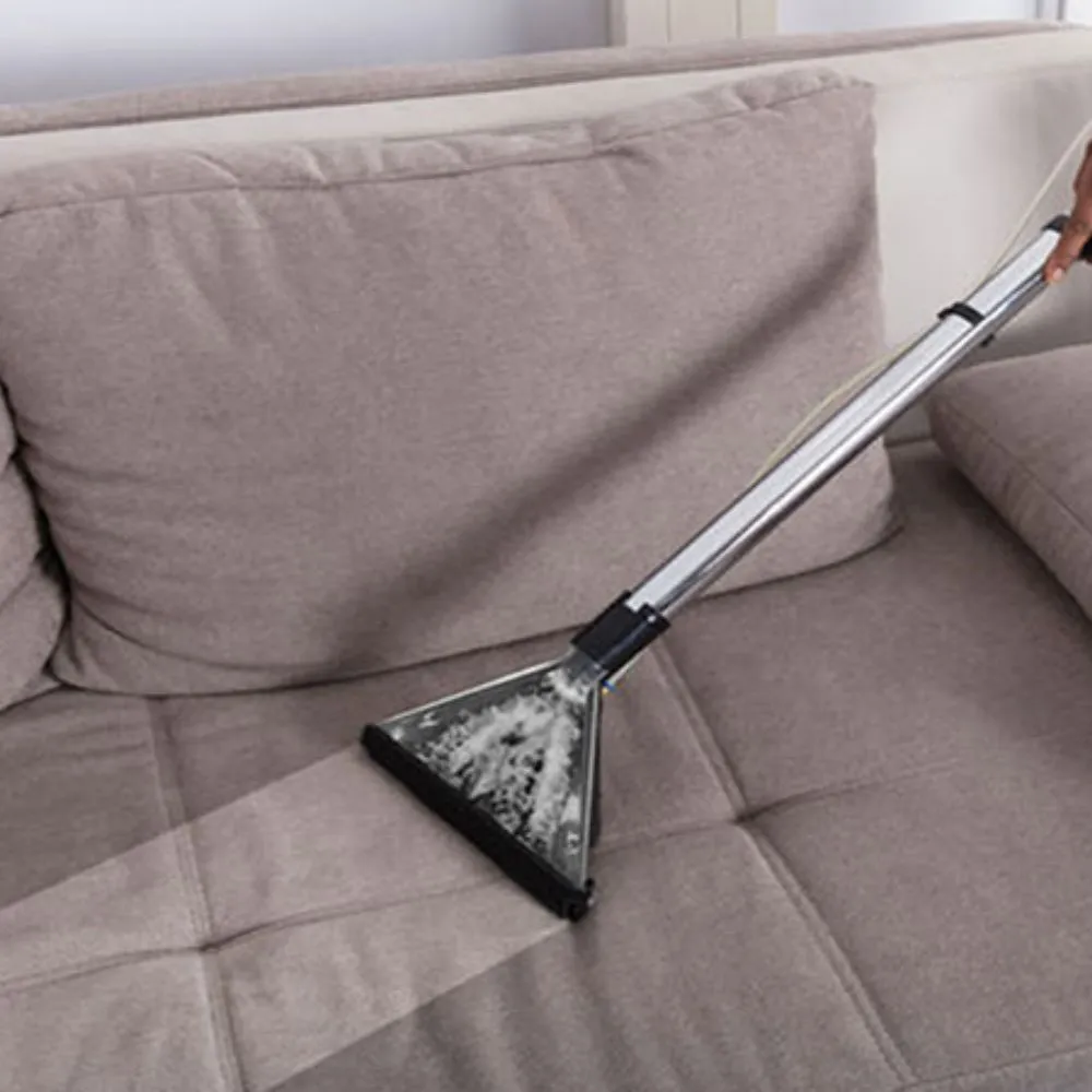 Sofa Shampooing Services