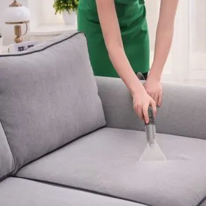 Professional sofa cleaning services