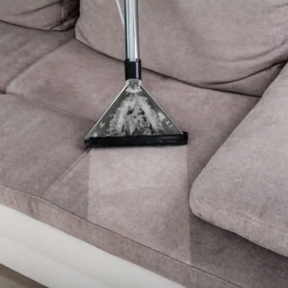 Professional Sofa Cleaning Service