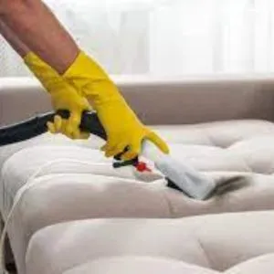 Professional Sofa Cleaning Service