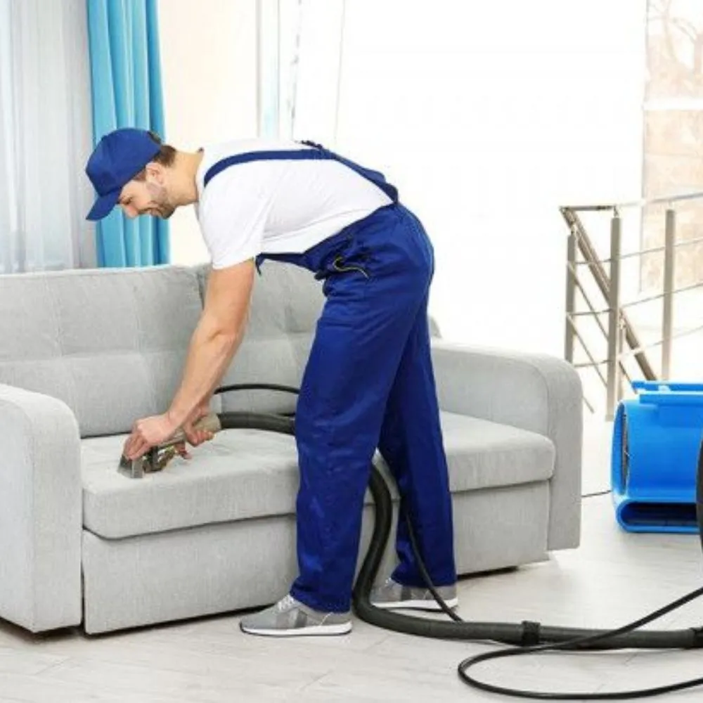 Professional Sofa Cleaning Service