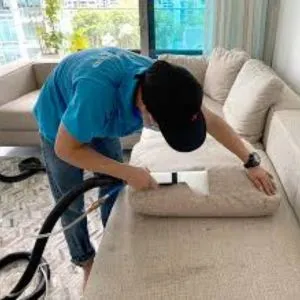 Professional Sofa Cleaning Service