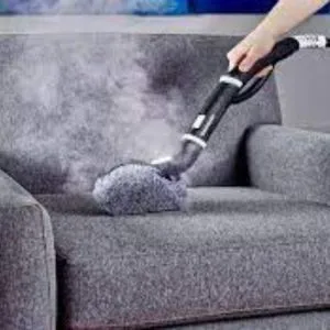 Sofa Shampooing Service