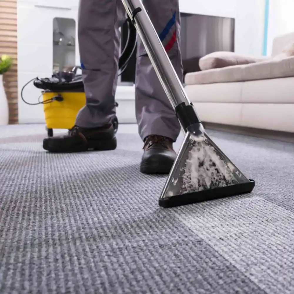 Professional Carpet Cleaning Services