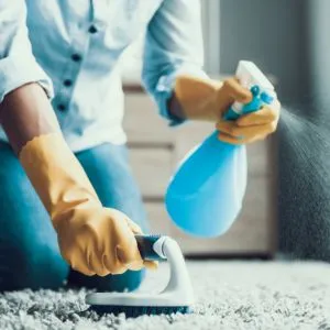 Steam Carpet Cleaning Services