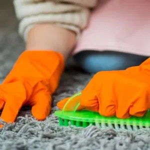 Residential Carpet Cleaning Services