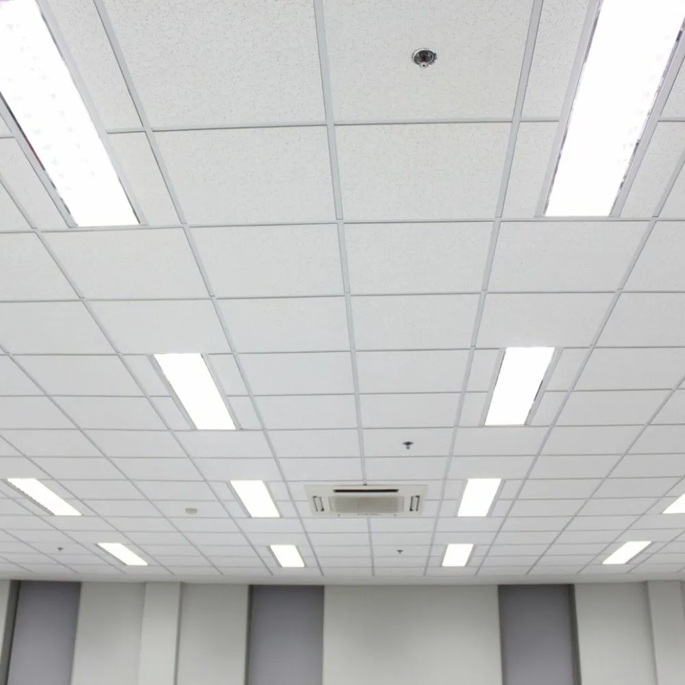 PVC Acoustical Ceilings