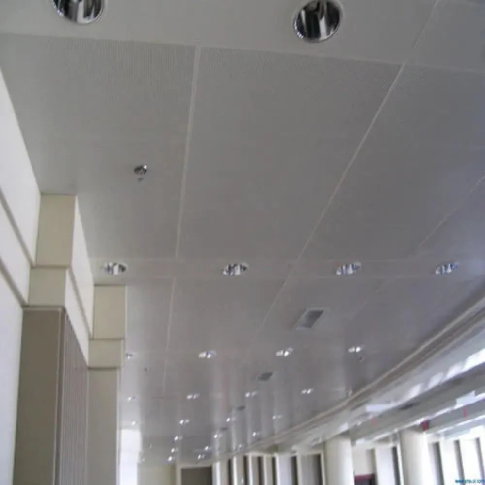 Suspended Ceiling Panels