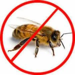 Honey Bee Pest Control Services