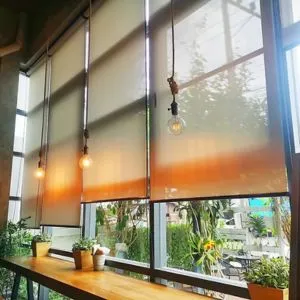 Sunscreen Roller Blinds