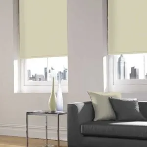 Translucent Roller Blinds