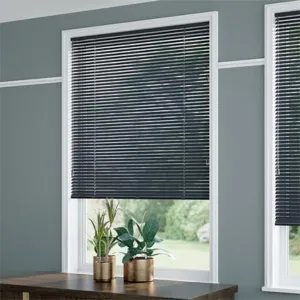 Blinds