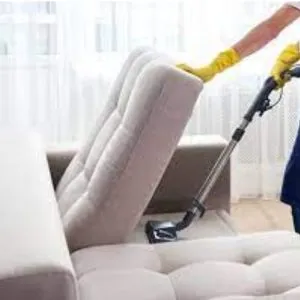 Sofa Shampooing Service