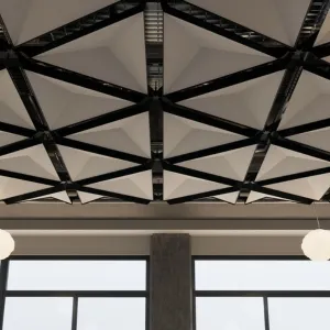 Acoustic Ceilings