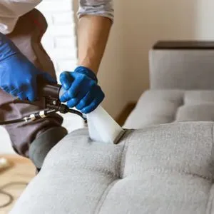 Professional Upholstery Cleaning Service