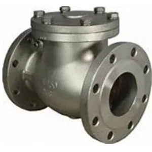 Commercial Check Valve