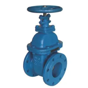 Cast Iron Gate Valve