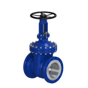 Bonnet Gate Valves