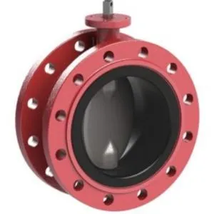 Double Flanged Valve