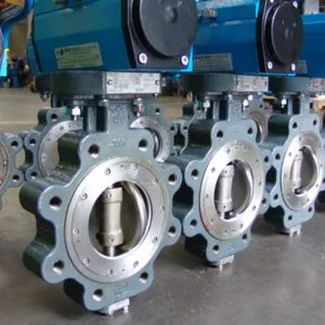 Double Offset Butterfly Valve