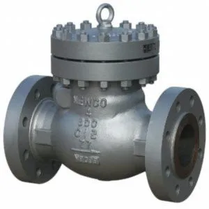 Bronze Check Valve