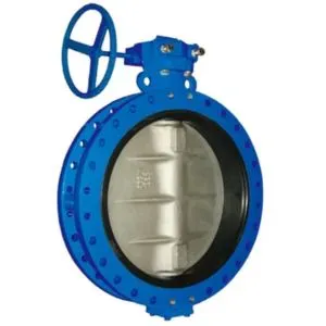 Concentric Butterfly Valve