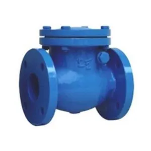 Swing Check Valve Bloated Bonnet