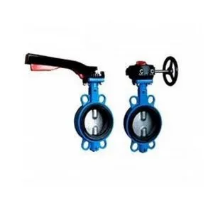 Fully Open Butterfly Valve