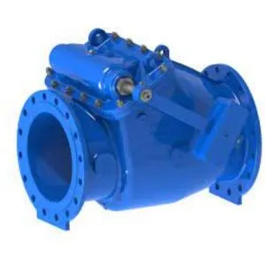 Swing Check Valves