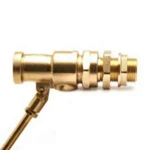 Float Valve Brass Pegler