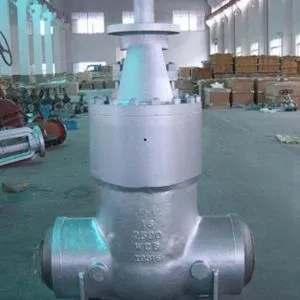 Split Wedge Gate Valve