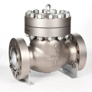 Swing Check Valve