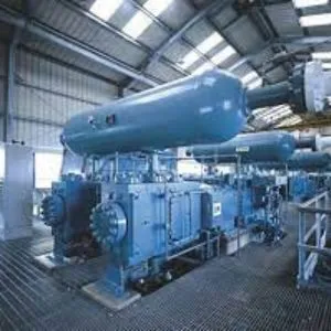 Gas Reciprocating Compressors