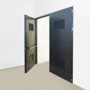 Non Fire Rated Steel Doors