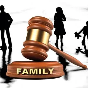 Family Lawyers