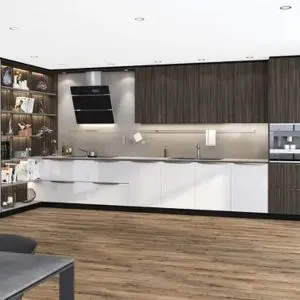 Gloss Kitchen Cabinets