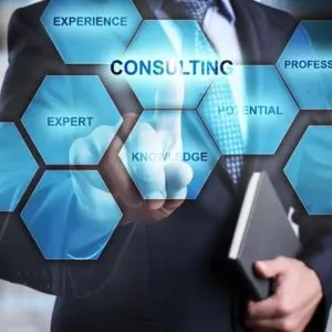 IT Consulting