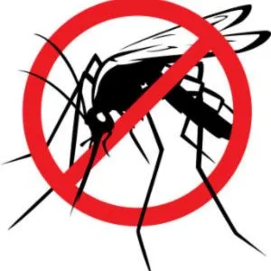 Mosquito Pest Control Solution