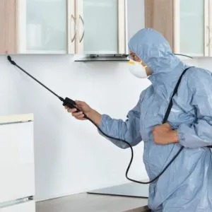 Home Fumigation Service