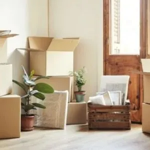 Professional Moving And Storage Services