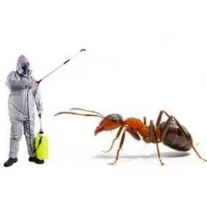 Ant Control Service