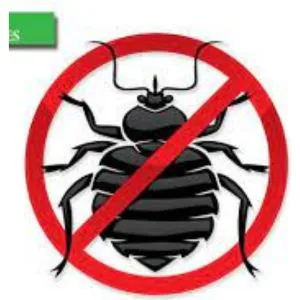 Bed Bugs Pest Control