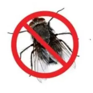 Fly Pest Control Services