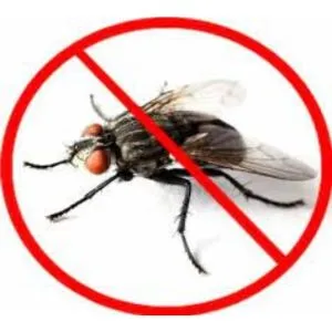 Blow Flies Pest Control Services